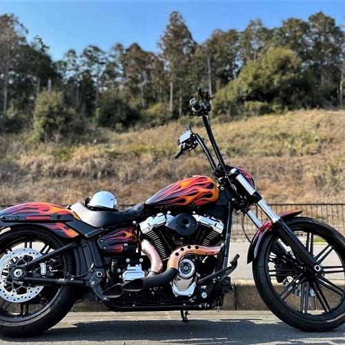 Best exhaust for dyna deals street bob